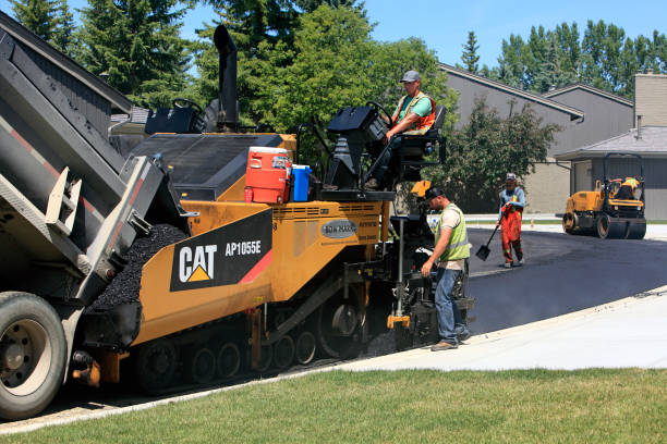 Best Local Driveway Pavers  in Panthersville, GA